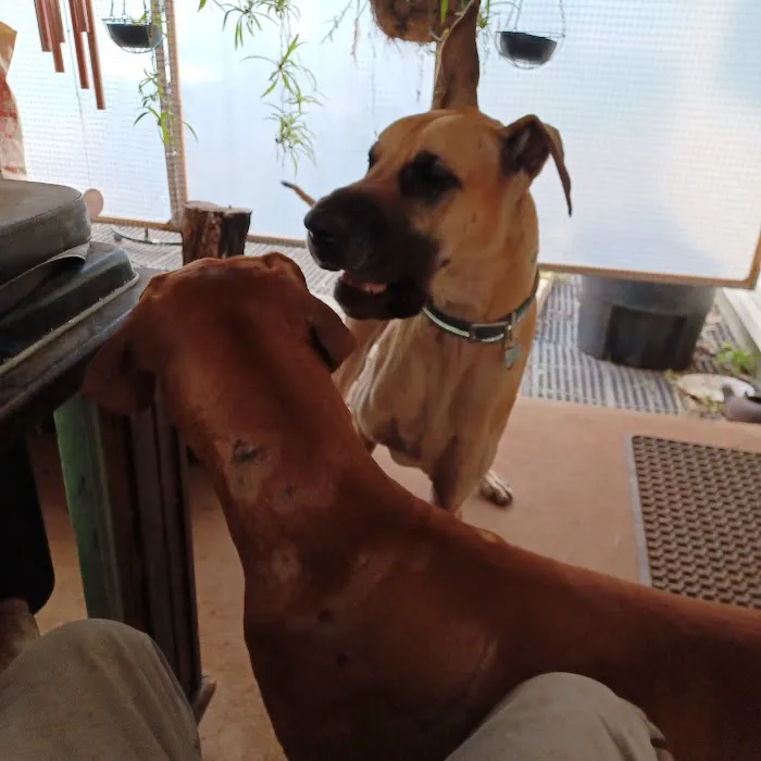 Robertson County Veterinary Services Picture 4