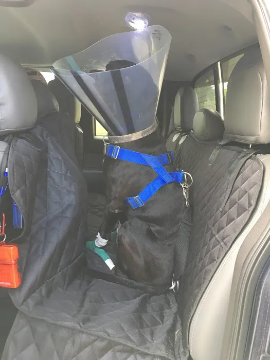 Robertson County Veterinary Services Picture 3