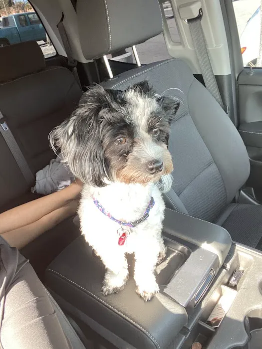 Cottage Animal Hospital Picture 3