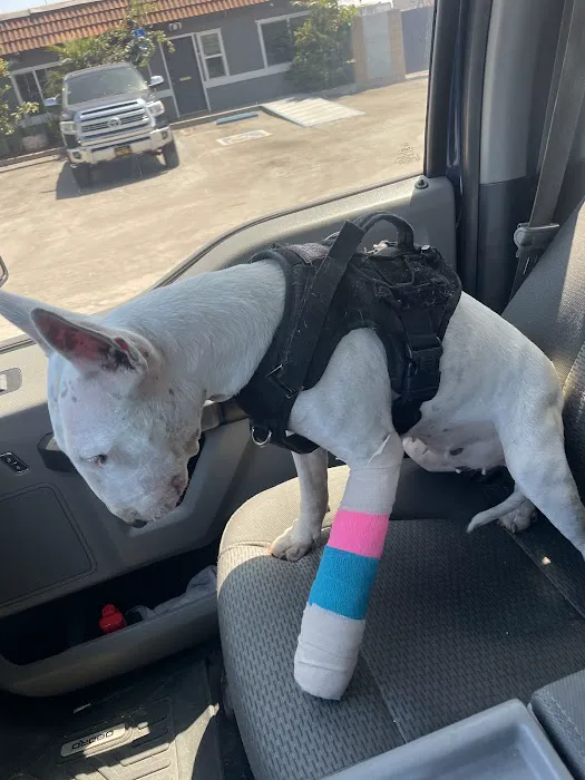 Cottage Animal Hospital Picture 5