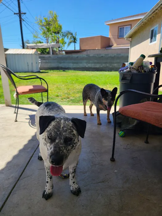 Cottage Animal Hospital Picture 4