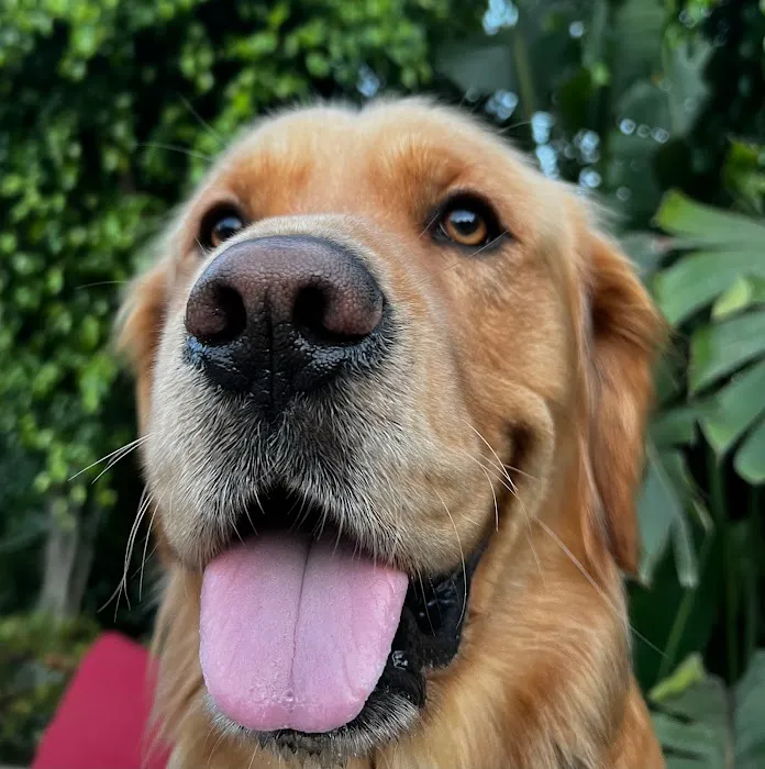 Cottage Animal Hospital Picture 8