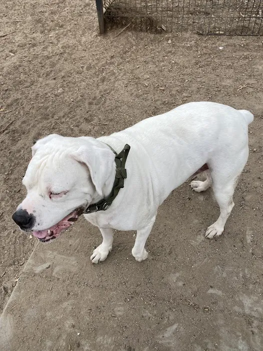 Cottage Animal Hospital Picture 9