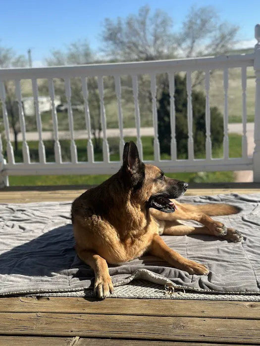 Mercy Crusade Spay, Neuter & Wellness Clinic Picture 3