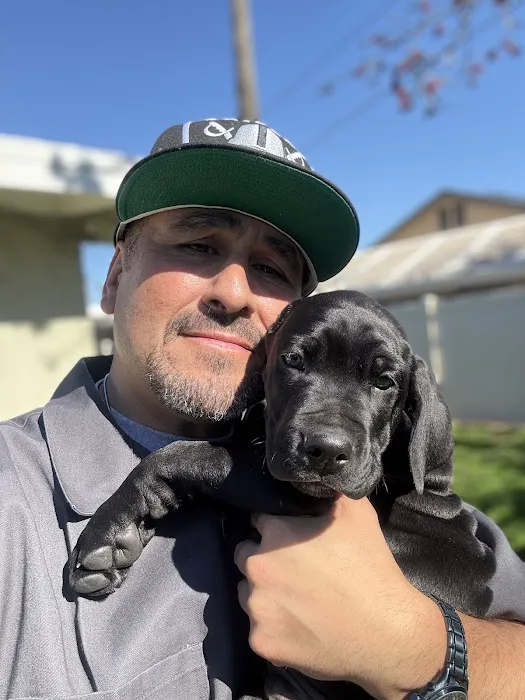 VIP Petcare Vaccination Clinic Picture 1