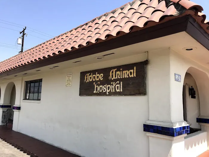 Adobe Animal Hospital Picture 3
