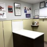 Adobe Animal Hospital