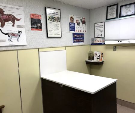 Adobe Animal Hospital