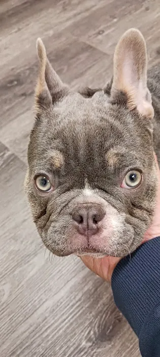 Adobe Animal Hospital Picture 5