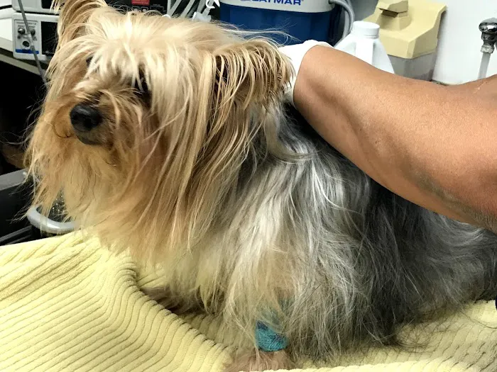 Adobe Animal Hospital Picture 7