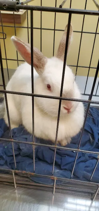 Adobe Animal Hospital Picture 9