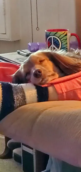 Oxnard Veterinary Hospital Picture 1