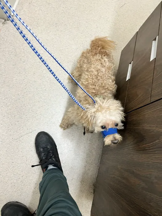 Oxnard Veterinary Hospital Picture 3