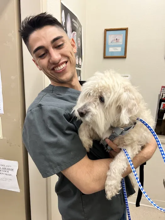 Oxnard Veterinary Hospital Picture 4