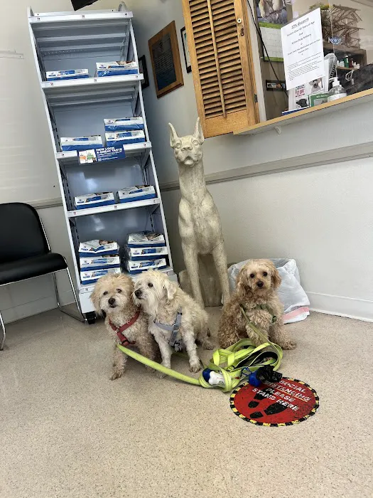 Oxnard Veterinary Hospital Picture 9