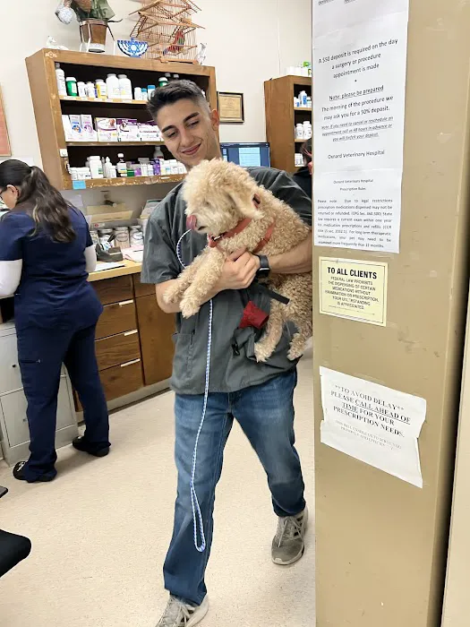 Oxnard Veterinary Hospital Picture 6