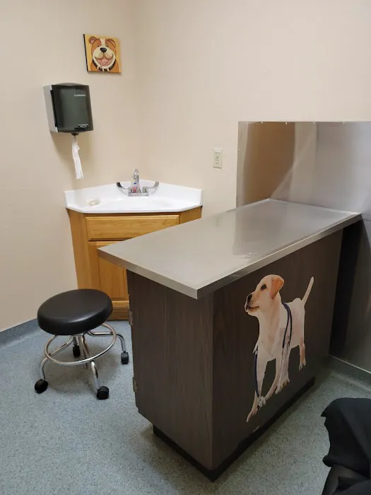 101 Pet Vet Picture 2