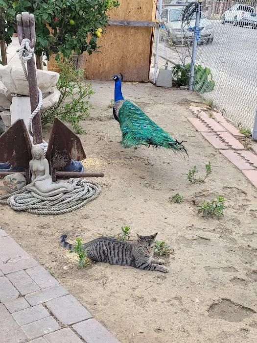 101 Pet Vet Picture 8