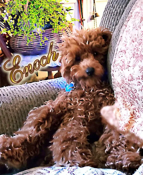 Marina Animal Hospital Picture 1