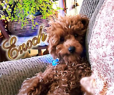 Marina Animal Hospital