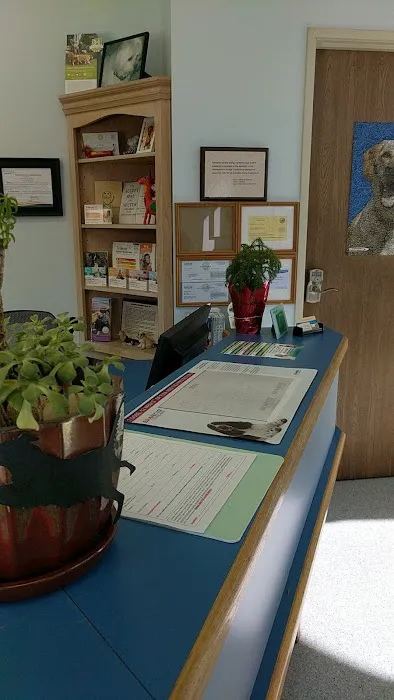 Marina Animal Hospital Picture 6