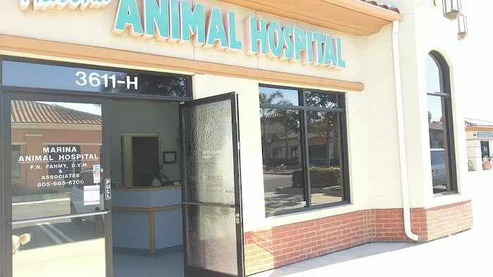 Marina Animal Hospital Picture 5