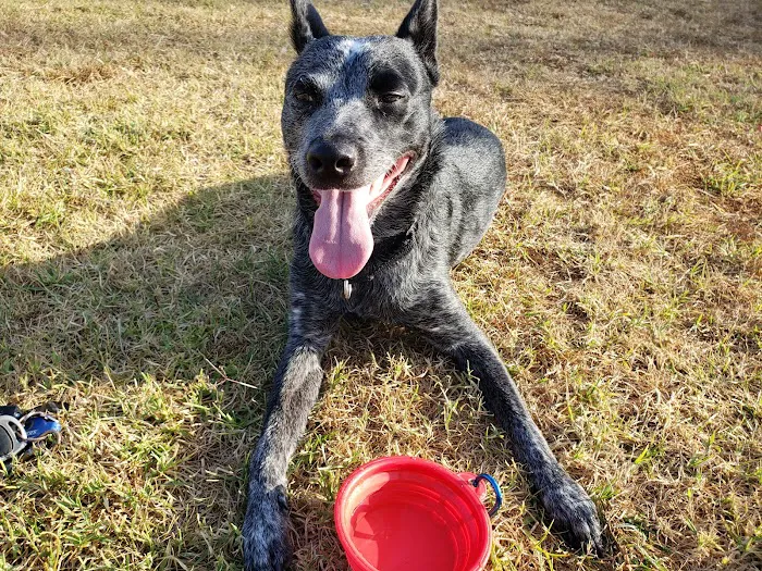 Marina Animal Hospital Picture 3