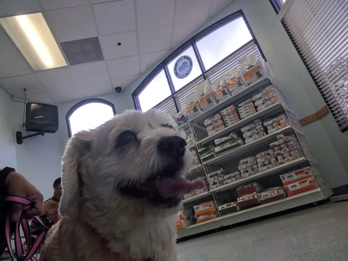 Marina Animal Hospital Picture 8