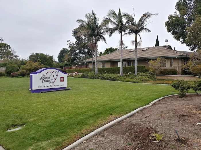 The Animal Doctor Picture 1