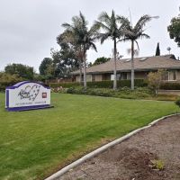 The Animal Doctor ico