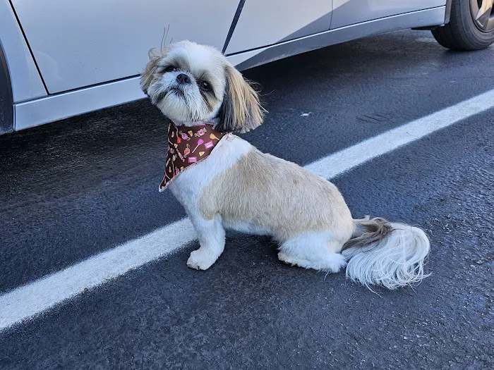 The Animal Doctor Picture 5