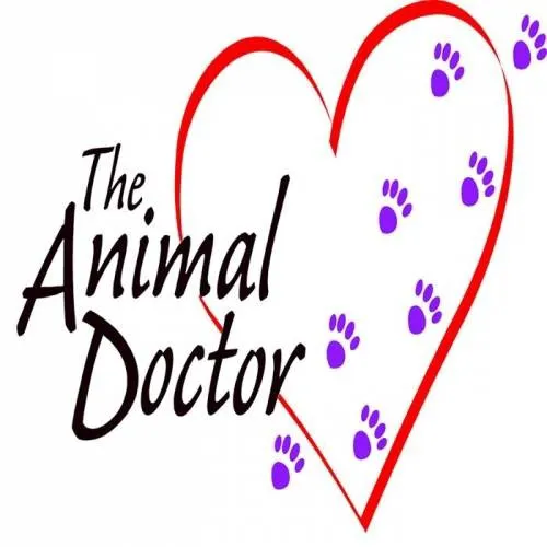 The Animal Doctor Picture 9