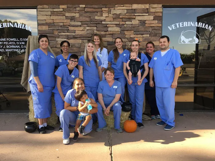 East Ventura Animal Hospital: Fowell J Elaine DVM Picture 1