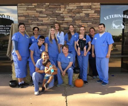 East Ventura Animal Hospital: Fowell J Elaine DVM