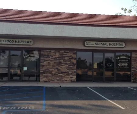 East Ventura Animal Hospital