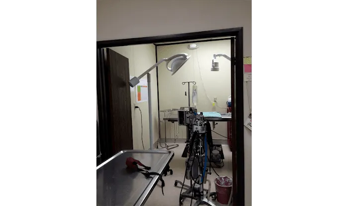 East Ventura Animal Hospital Picture 8