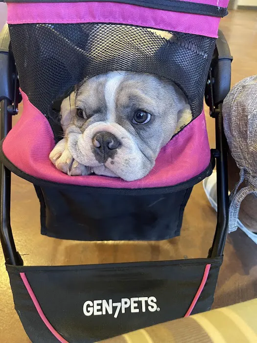 Veterinary Medical and Surgical Group Picture 3