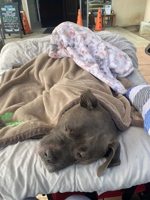 Veterinary Medical and Surgical Group Picture 5