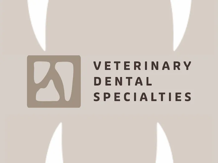 Veterinary Dental Specialties and Oral Surgery Picture 1