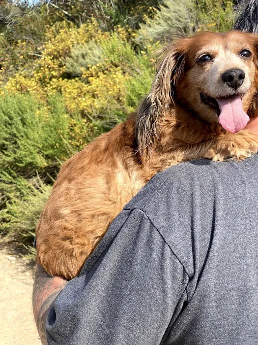 Horizon Veterinary Specialists Picture 10