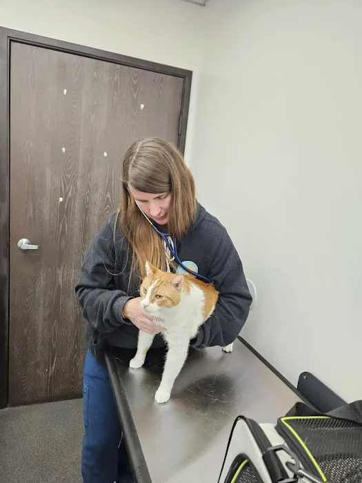 Mountain View Animal Hospital Picture 1