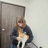 Mountain View Animal Hospital ico