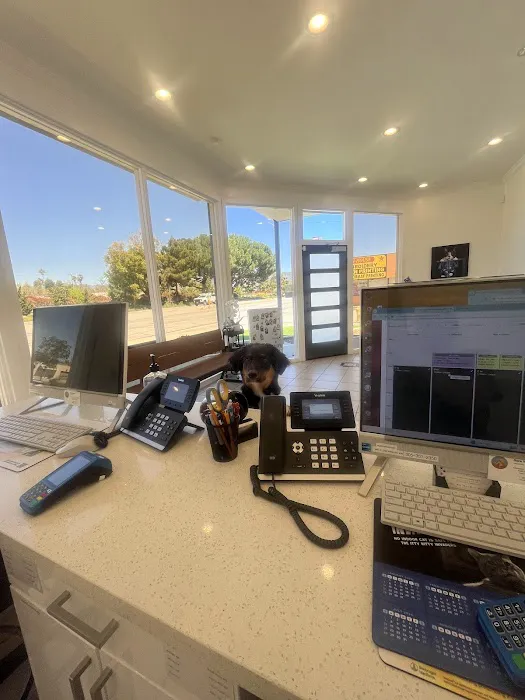 Mountain View Animal Hospital Picture 3