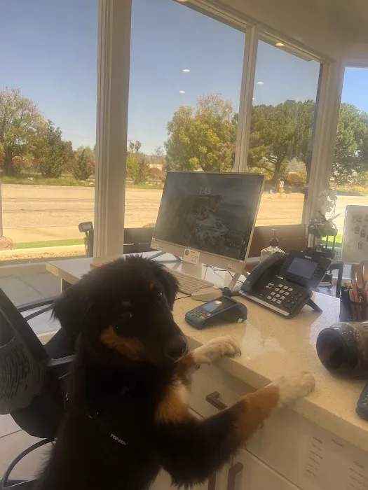 Mountain View Animal Hospital Picture 2