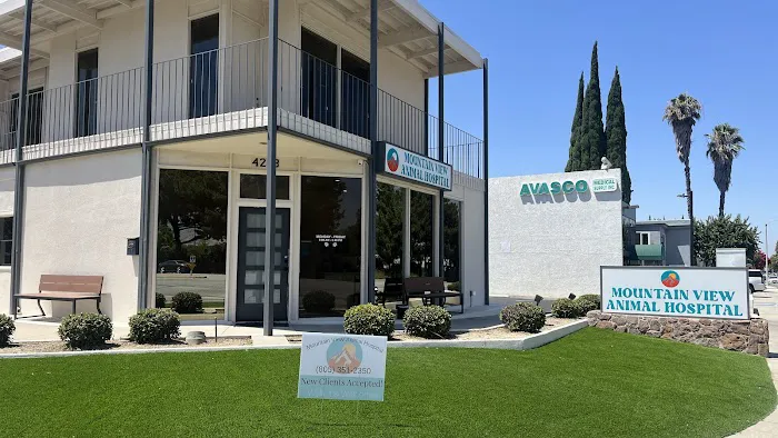 Mountain View Animal Hospital Picture 4