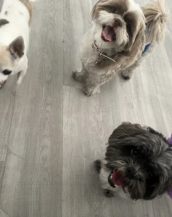 Mountain View Animal Hospital Picture 5