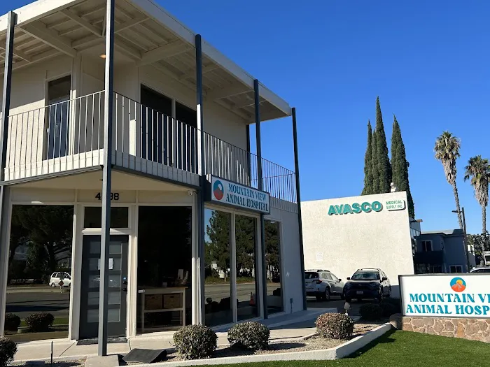Mountain View Animal Hospital Picture 6