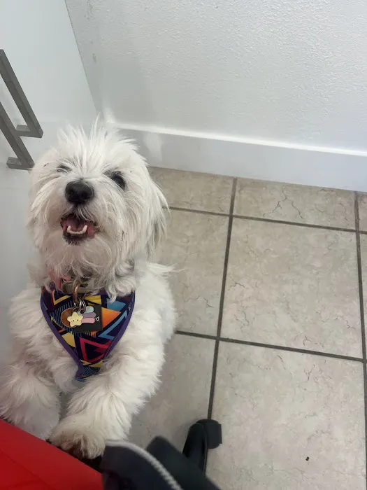 Mountain View Animal Hospital Picture 10