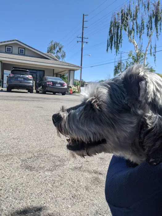 Park Animal Hospital Picture 6