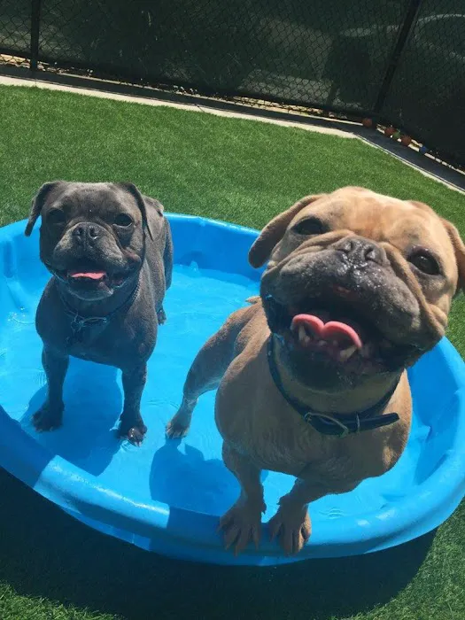 Park Animal Hospital Picture 7